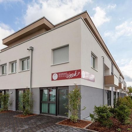 Boardinghouse Hirsch - Apartments In Kork Kehl ภายนอก รูปภาพ